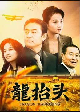 龙抬头2007(全集)